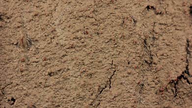 Land becoming dry