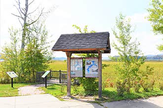 Adirondack tupper lake wetland ecosystem stands
