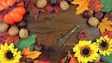 Autumn Fall overhead