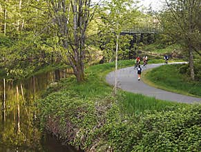 Along the Trail
