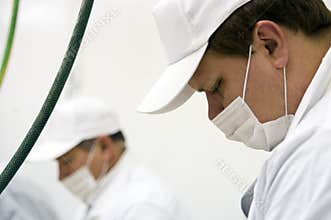 Factory workers