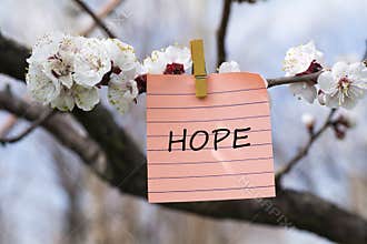Hope in memo