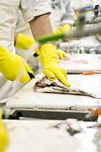 Fish processing factory