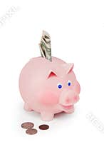 Piggy bank