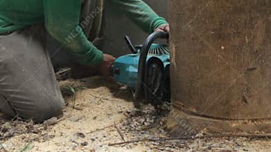 Engine saw cutting tree at home garden