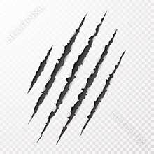 Scary leceration paper surface. Wild animal claws scratch texture. Torn paper edge. vector illustration