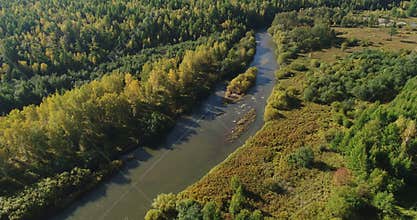 Small river with forests