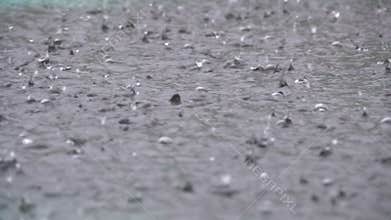 Large Drops of Rain Fall in a Puddle During a Rainstorm. Water Drops in Slow Motion.