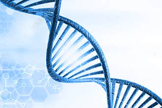 DNA molecules