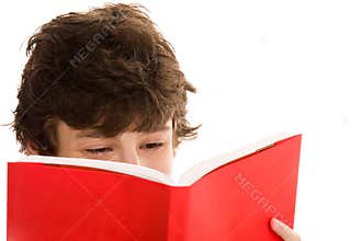 Teenage boy reading book