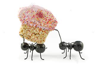Ants Carrying Cupcake, Concept