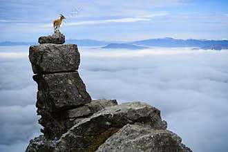 courageous, risky and adventurous life