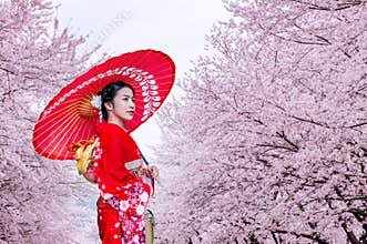 Asian woman wearing japanese traditional kimono and cherry blossom in spring, Japan