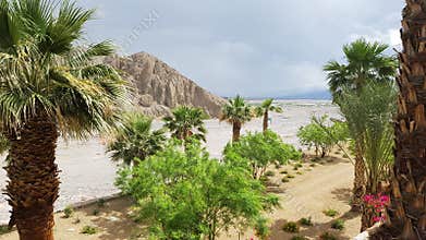 Oasis in Death Valley