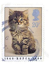 British cat stamp