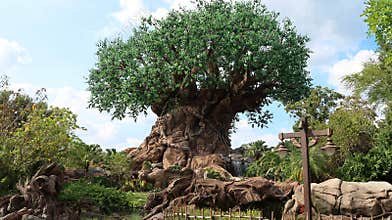 The Tree of Life is in the Disney World in Orlando.