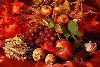 Thanksgiving