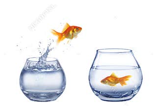 Jump to company