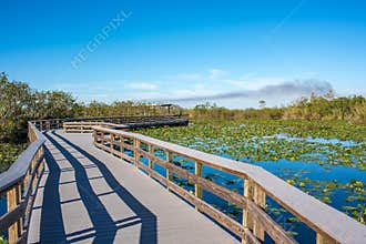 Everglades National Park in Florida.