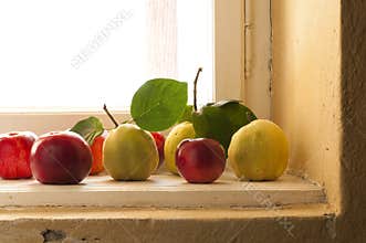 Quince and apples on the window sill