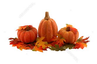 Pumpkins and leafs - Thanksgiving decoration