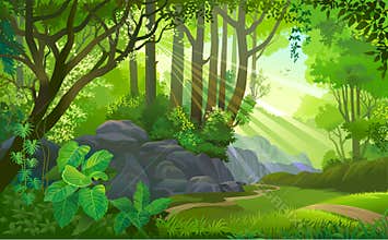 The path across a dense jungle with trees, grass, boulders, dirt, bushes and plants