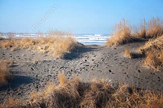 Sandy beach and ocean
