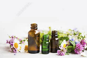 Flowers and herbs essential oil bottles, natural aromatherapy wi
