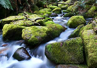 River Running over Mossy Rocks