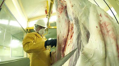 Tandem Animal Skinning Process In A Slaughterhouse