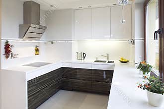 Modern kitchen