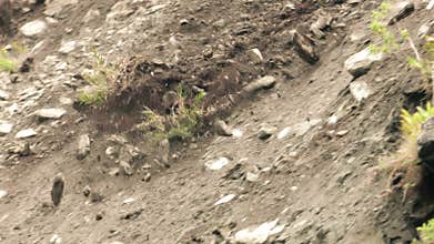 Earthquake Induced Landslide On Already Affected Area