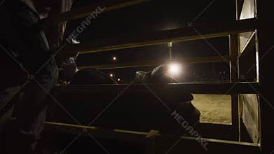 Silhouetted shot of a bull and bull rider