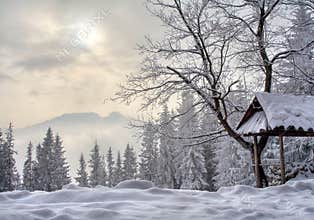 Winter in Poland