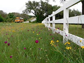 School Bus on Rural Texas Road