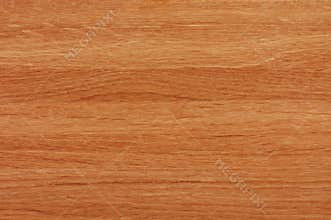 Wood background