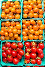 Cartons of orange and red variety of ripe cherry tomatoes
