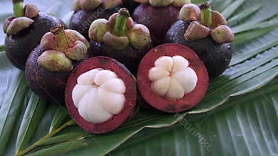 Group of fresh exotic tropical thai fruit mangosteens garcinia mangostana rotating on banana leaf