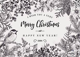 Christmas background with bird.