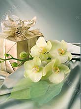 Valentines Day Gift