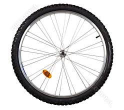 Bicycle wheel