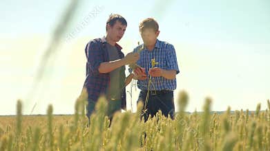 Old two farmers summer handshake man on your smartphone Wheat Field running in the field wheat bread. slow motion video