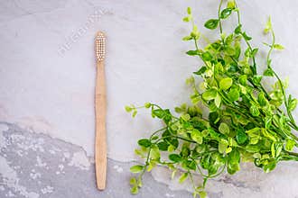 Biodegradable bamboo toothbrush on a granite countertop