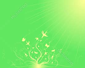 Blossom