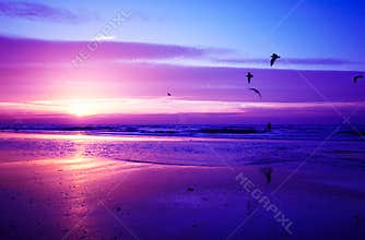 Sunset on the beach