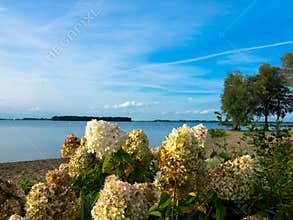 The Veluwemeer in the Netherlands. View of the beach called Strand Horst. Provinz Gelderland, The Netherlands.