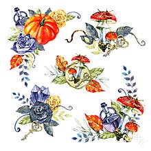 autumn watercolor illustration, Halloween ornaments, fall flowers, squash, gourd, festive clip art, design elements