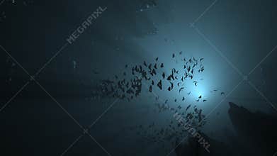 Bats flying in a cave at night