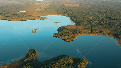 Green Coniferous Forest Growing On Lake Coastside 4K. Aerial View Of Lakes Rivers Coast And Countryside Landscape. Pines