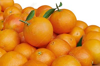 Oranges